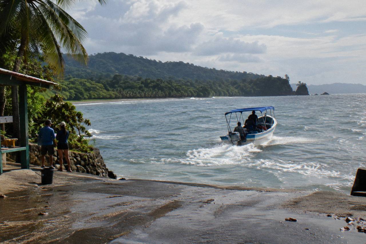 Uvita: Marino Ballena National Park Whale Watching Adventure